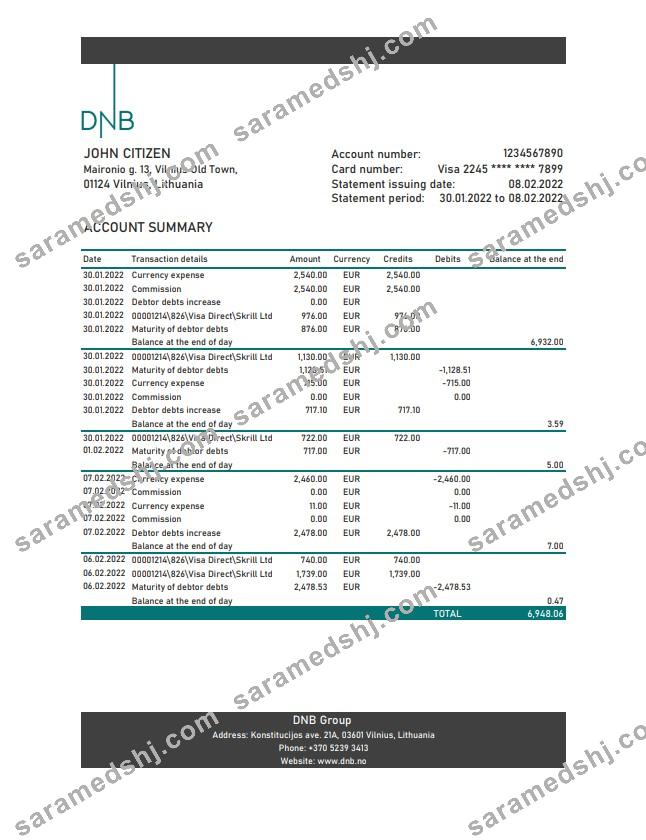 Lithuania DNB bank statement
